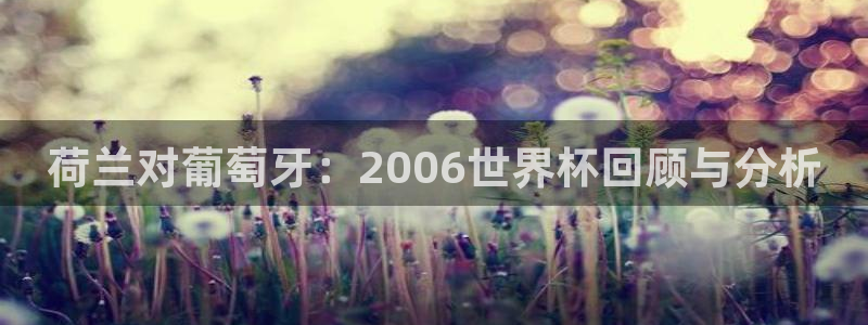 世界杯预选赛排名：荷兰对葡萄牙：2006世界杯回顾与分析