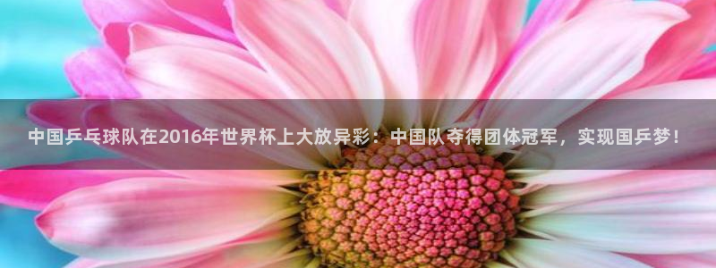 世界杯欧洲区预选赛赛程：中国乒乓球队在2016年世界杯上大放异彩：中国队夺得团体冠军，实现国乒梦！