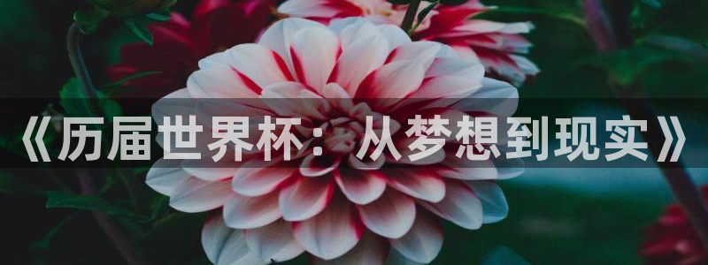 2026世界杯：《历届世界杯：从梦想到现实》