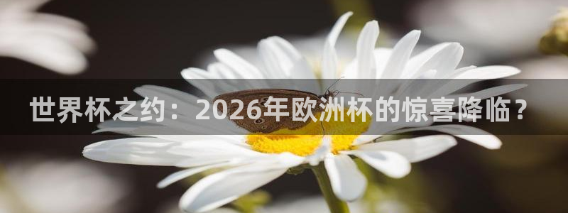 2026世界杯预选赛：世界杯之约：2026年欧洲杯的惊喜降临？