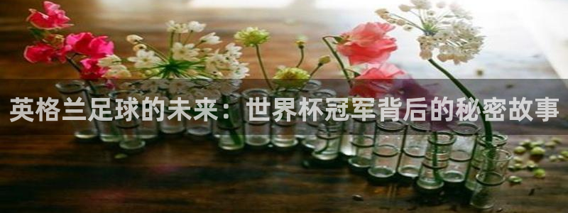 世界杯比赛时间：英格兰足球的未来：世界杯冠军背后的秘密故事