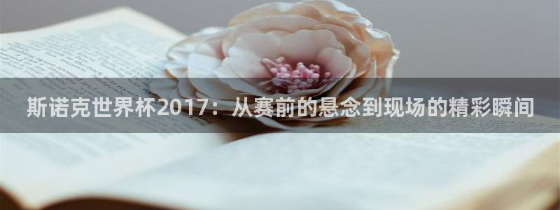 预选赛世界杯：斯诺克世界杯2017：从赛前的悬念到现场的精彩瞬间
