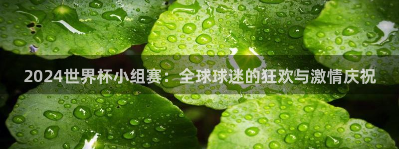 2026世亚预赛赛程表：2024世界杯小组赛：全球球迷的狂欢与激情庆祝