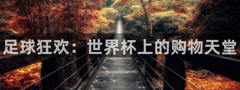 2006年世界杯冠军：足球狂欢：世界杯上的购物天堂