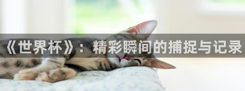 2026年世界杯对阵图：《世界杯》：精彩瞬间的捕捉与记录
